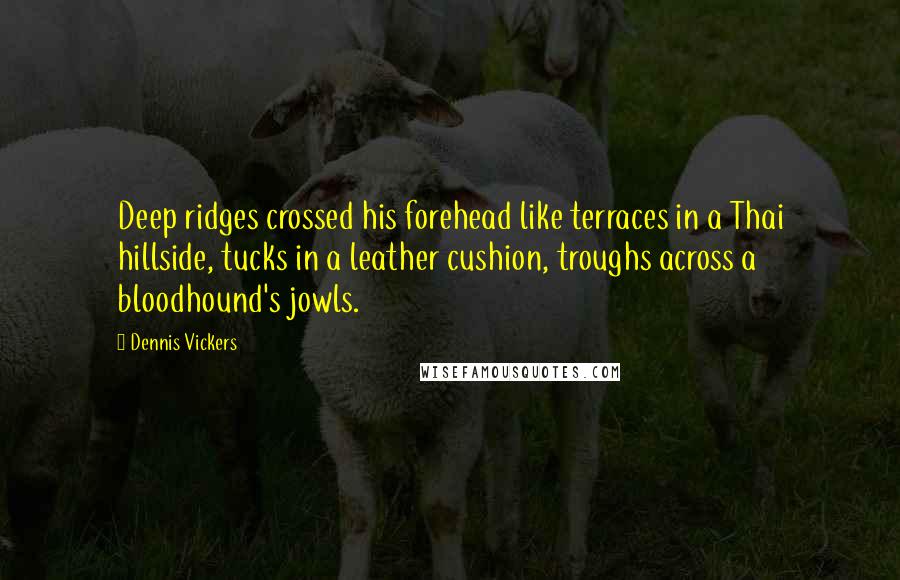 Dennis Vickers Quotes: Deep ridges crossed his forehead like terraces in a Thai hillside, tucks in a leather cushion, troughs across a bloodhound's jowls.