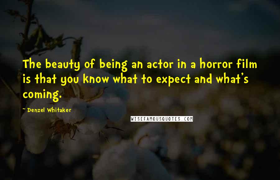Denzel Whitaker Quotes: The beauty of being an actor in a horror film is that you know what to expect and what's coming.