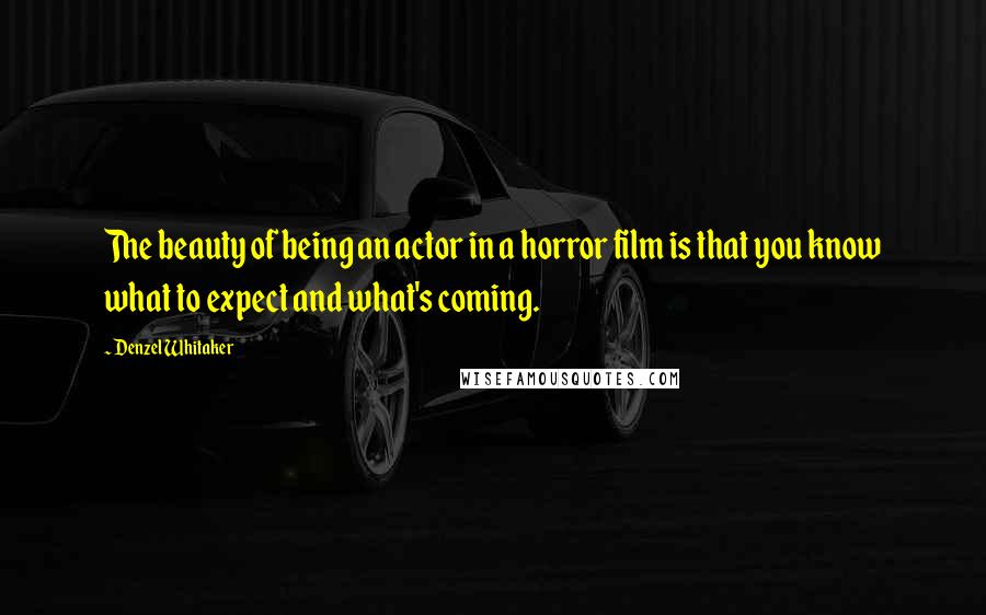 Denzel Whitaker Quotes: The beauty of being an actor in a horror film is that you know what to expect and what's coming.