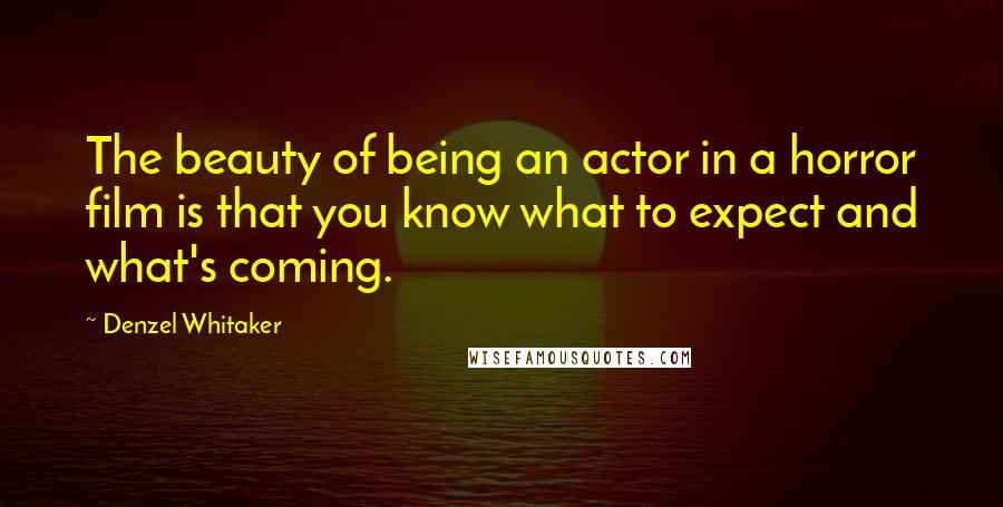 Denzel Whitaker Quotes: The beauty of being an actor in a horror film is that you know what to expect and what's coming.