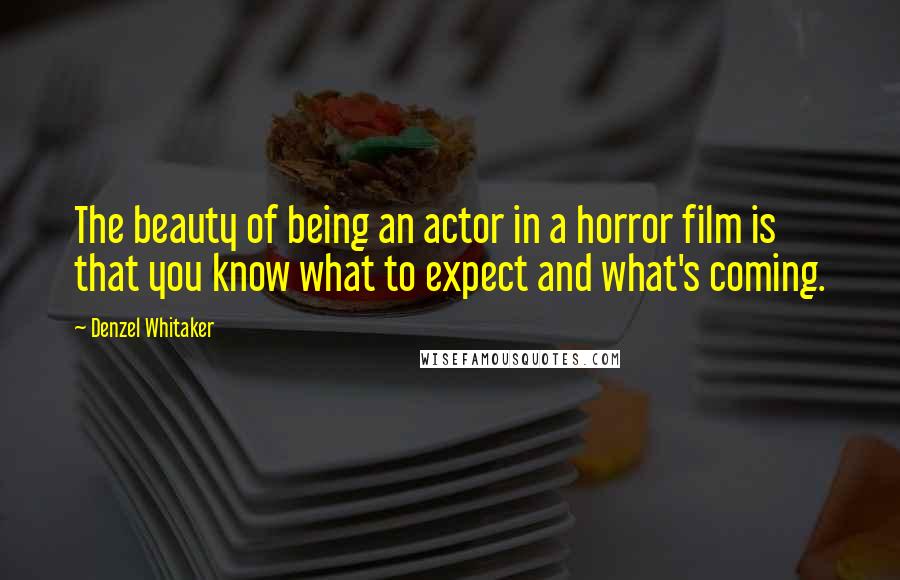 Denzel Whitaker Quotes: The beauty of being an actor in a horror film is that you know what to expect and what's coming.
