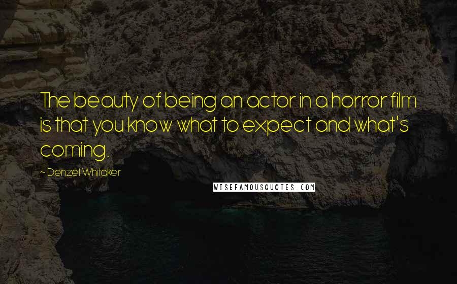 Denzel Whitaker Quotes: The beauty of being an actor in a horror film is that you know what to expect and what's coming.