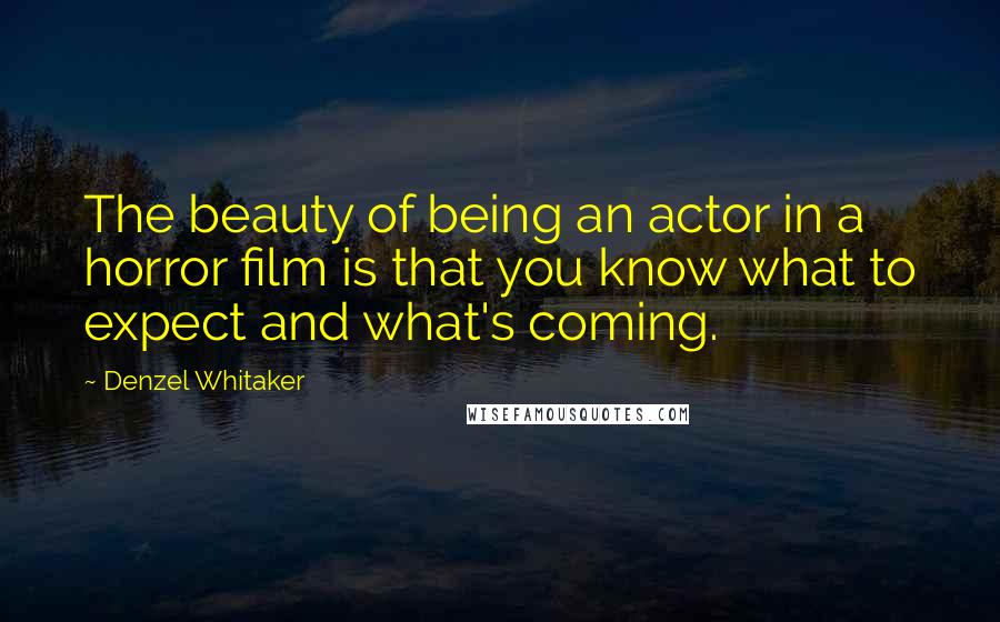 Denzel Whitaker Quotes: The beauty of being an actor in a horror film is that you know what to expect and what's coming.