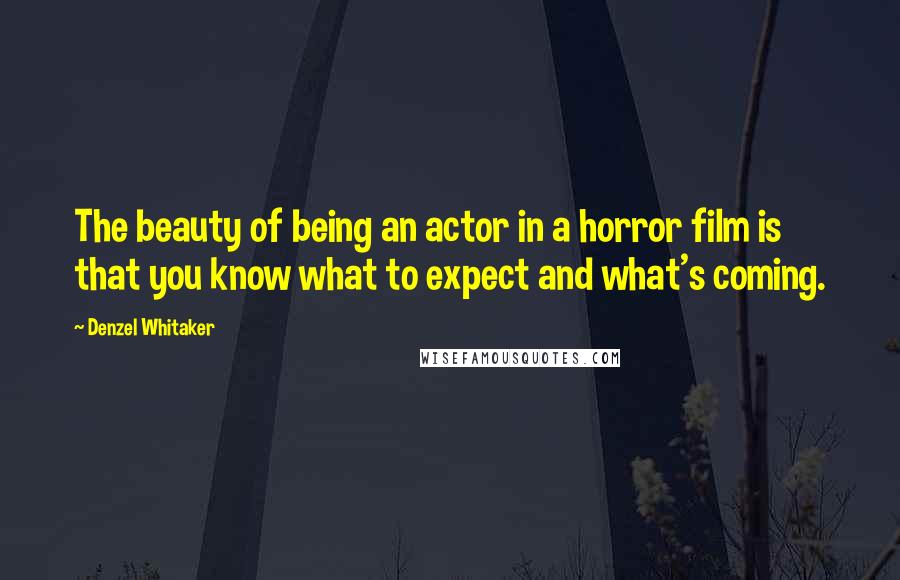 Denzel Whitaker Quotes: The beauty of being an actor in a horror film is that you know what to expect and what's coming.