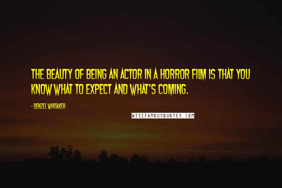 Denzel Whitaker Quotes: The beauty of being an actor in a horror film is that you know what to expect and what's coming.