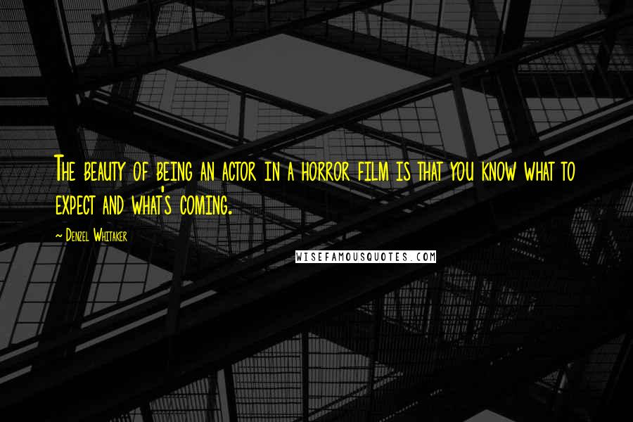 Denzel Whitaker Quotes: The beauty of being an actor in a horror film is that you know what to expect and what's coming.