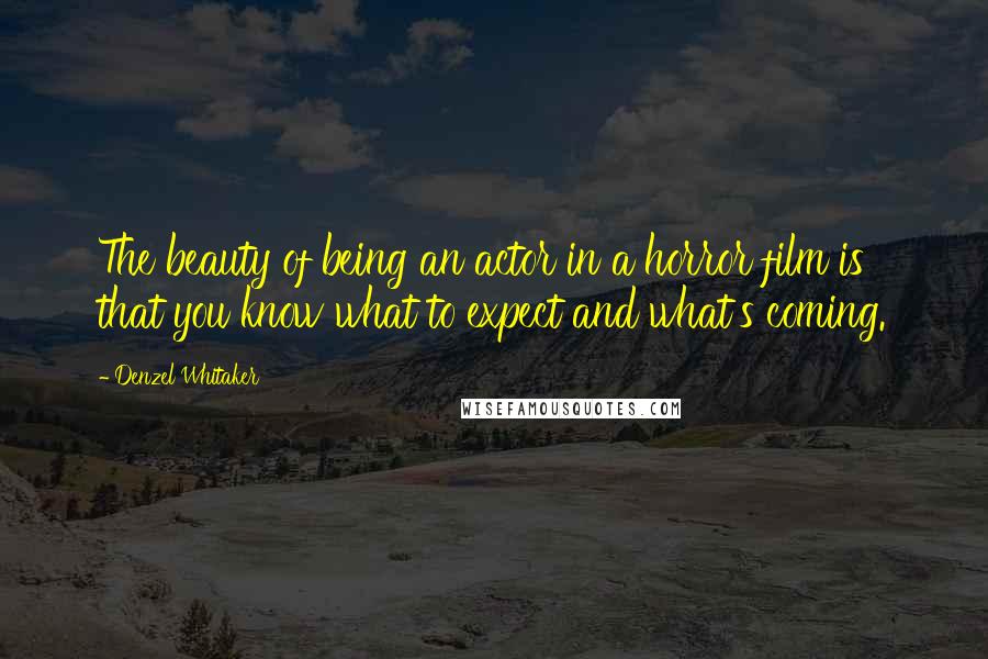Denzel Whitaker Quotes: The beauty of being an actor in a horror film is that you know what to expect and what's coming.