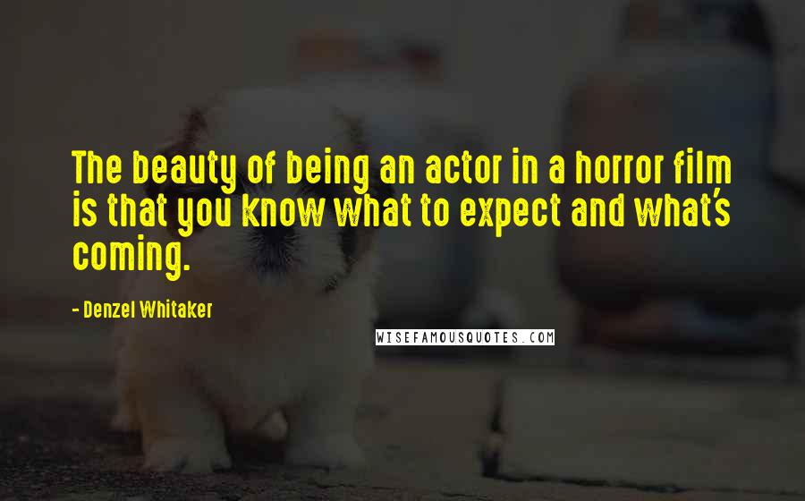 Denzel Whitaker Quotes: The beauty of being an actor in a horror film is that you know what to expect and what's coming.