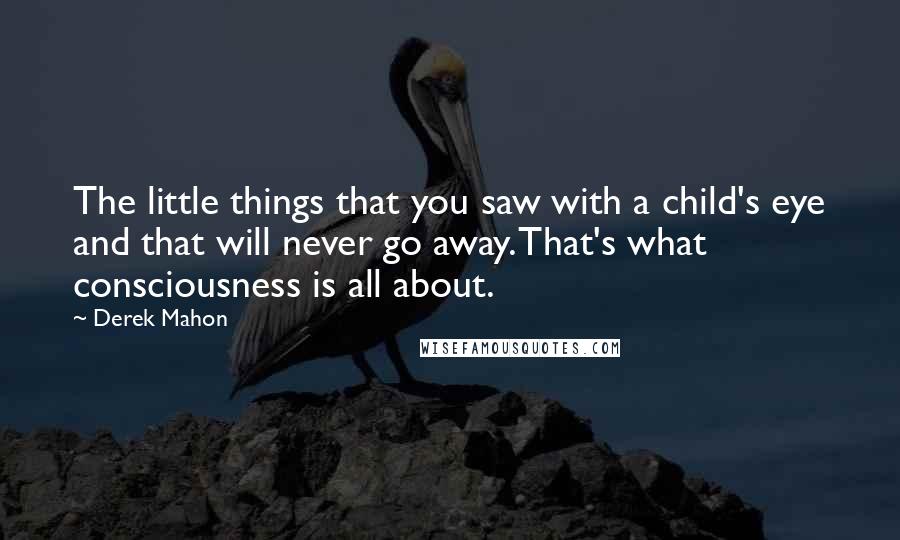 Derek Mahon Quotes: The little things that you saw with a child's eye and that will never go away. That's what consciousness is all about.