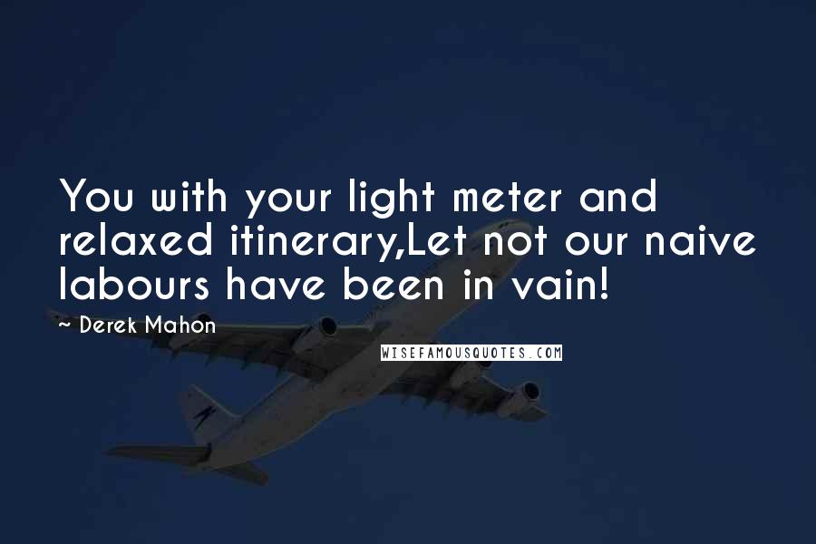 Derek Mahon Quotes: You with your light meter and relaxed itinerary,Let not our naive labours have been in vain!