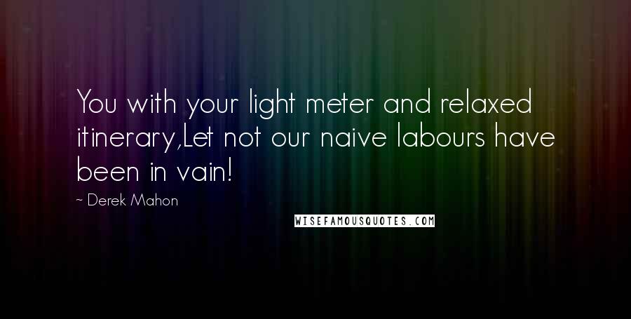 Derek Mahon Quotes: You with your light meter and relaxed itinerary,Let not our naive labours have been in vain!