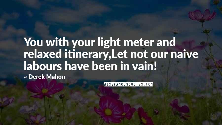 Derek Mahon Quotes: You with your light meter and relaxed itinerary,Let not our naive labours have been in vain!