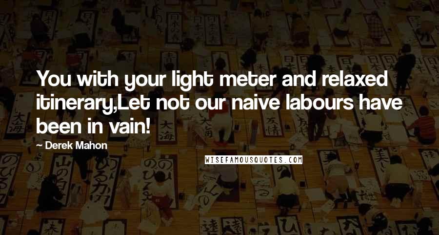 Derek Mahon Quotes: You with your light meter and relaxed itinerary,Let not our naive labours have been in vain!