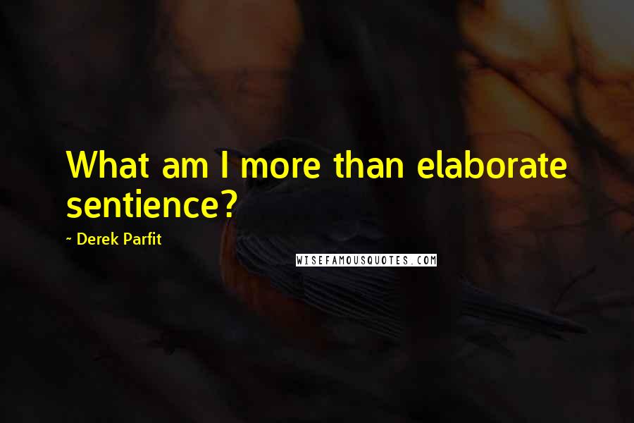 Derek Parfit Quotes: What am I more than elaborate sentience?