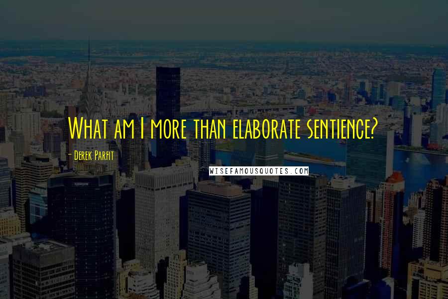 Derek Parfit Quotes: What am I more than elaborate sentience?