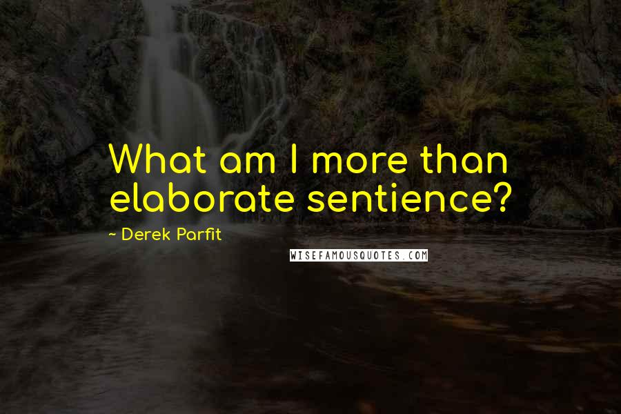 Derek Parfit Quotes: What am I more than elaborate sentience?