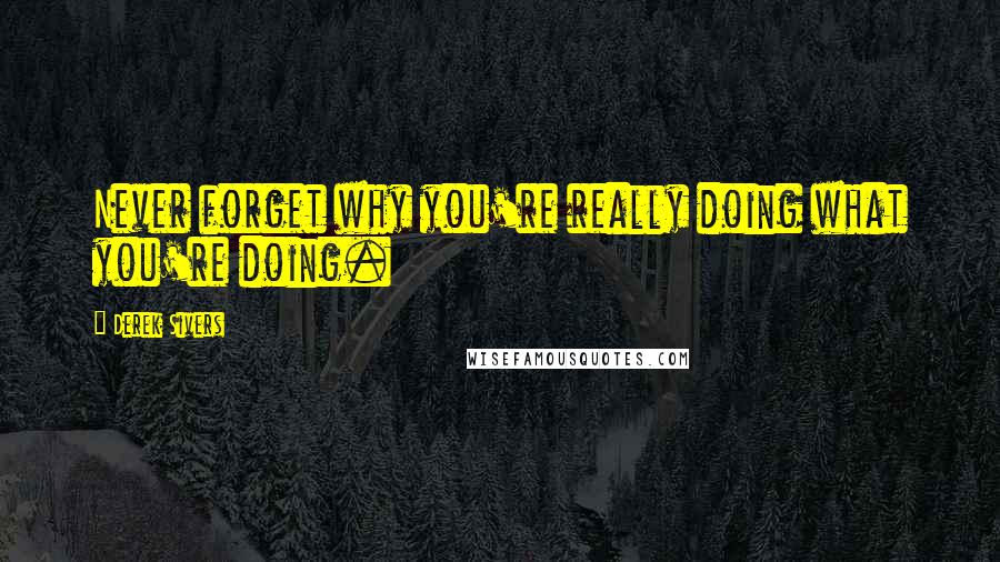 Derek Sivers Quotes: Never forget why you're really doing what you're doing.