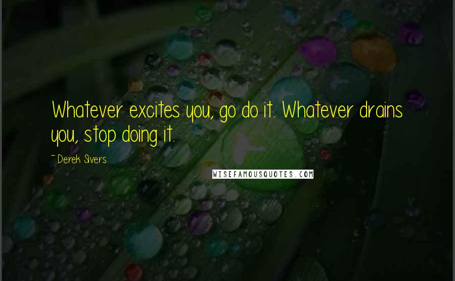 Derek Sivers Quotes: Whatever excites you, go do it. Whatever drains you, stop doing it.