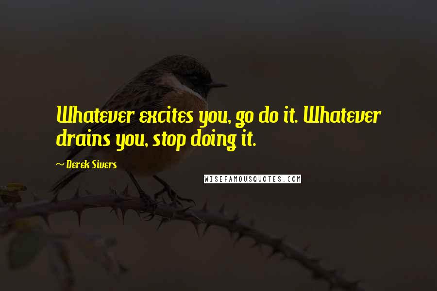 Derek Sivers Quotes: Whatever excites you, go do it. Whatever drains you, stop doing it.