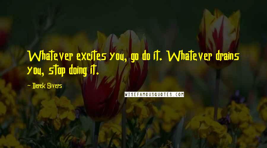 Derek Sivers Quotes: Whatever excites you, go do it. Whatever drains you, stop doing it.