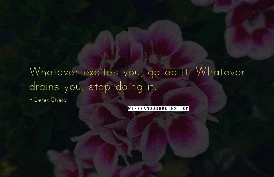 Derek Sivers Quotes: Whatever excites you, go do it. Whatever drains you, stop doing it.