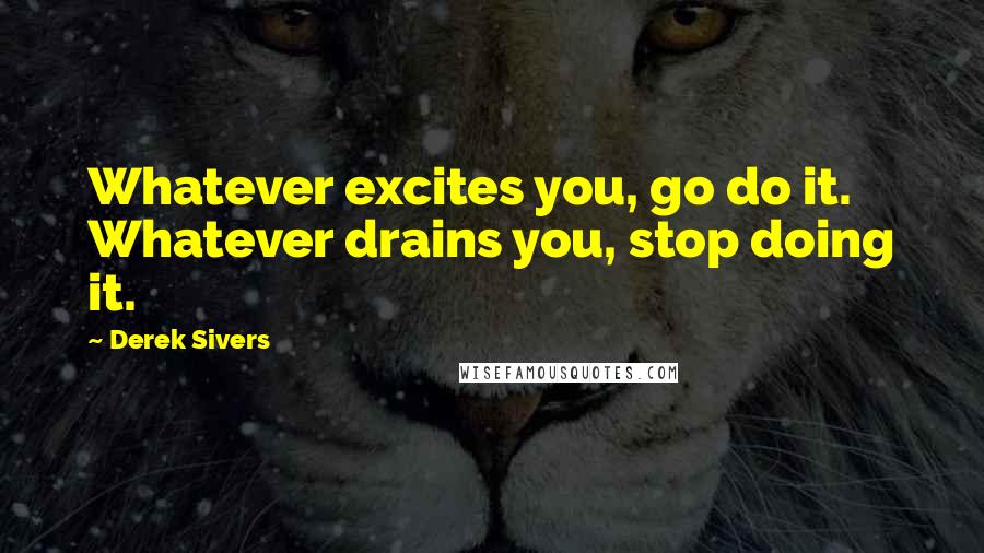 Derek Sivers Quotes: Whatever excites you, go do it. Whatever drains you, stop doing it.