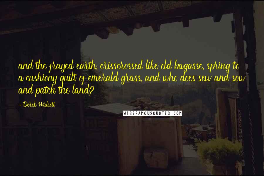 Derek Walcott Quotes: and the frayed earth, crisscrossed like old bagasse, spring to a cushiony quilt of emerald grass, and who does sew and sow and patch the land?