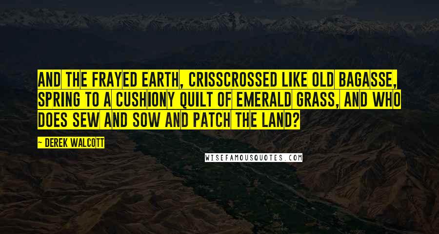 Derek Walcott Quotes: and the frayed earth, crisscrossed like old bagasse, spring to a cushiony quilt of emerald grass, and who does sew and sow and patch the land?