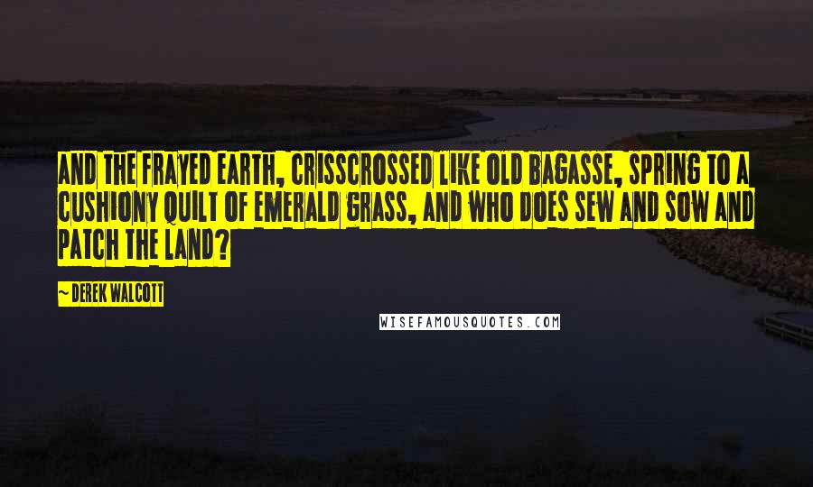 Derek Walcott Quotes: and the frayed earth, crisscrossed like old bagasse, spring to a cushiony quilt of emerald grass, and who does sew and sow and patch the land?