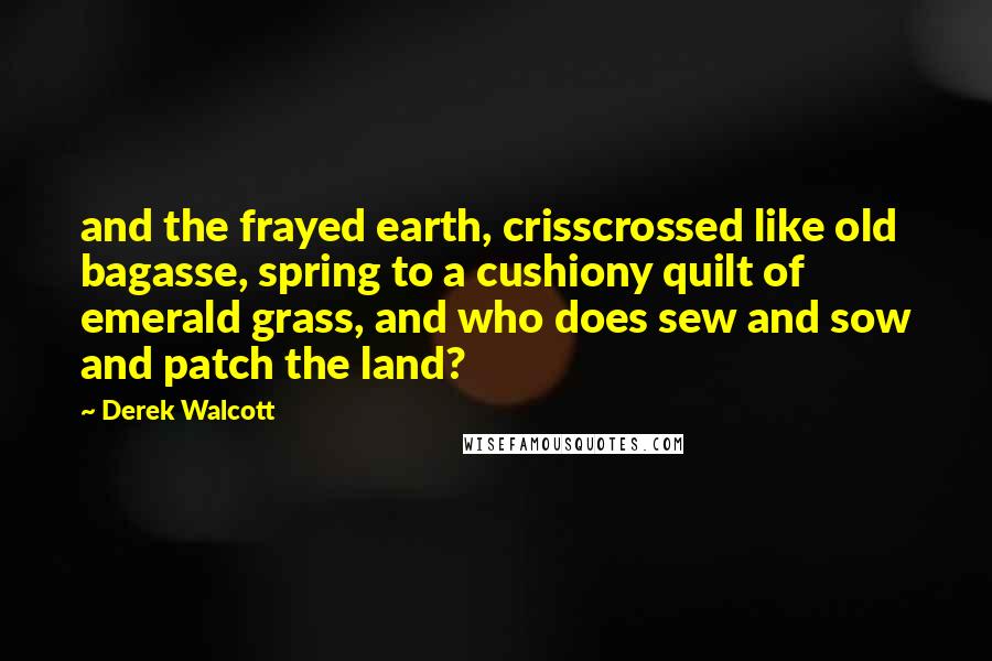 Derek Walcott Quotes: and the frayed earth, crisscrossed like old bagasse, spring to a cushiony quilt of emerald grass, and who does sew and sow and patch the land?