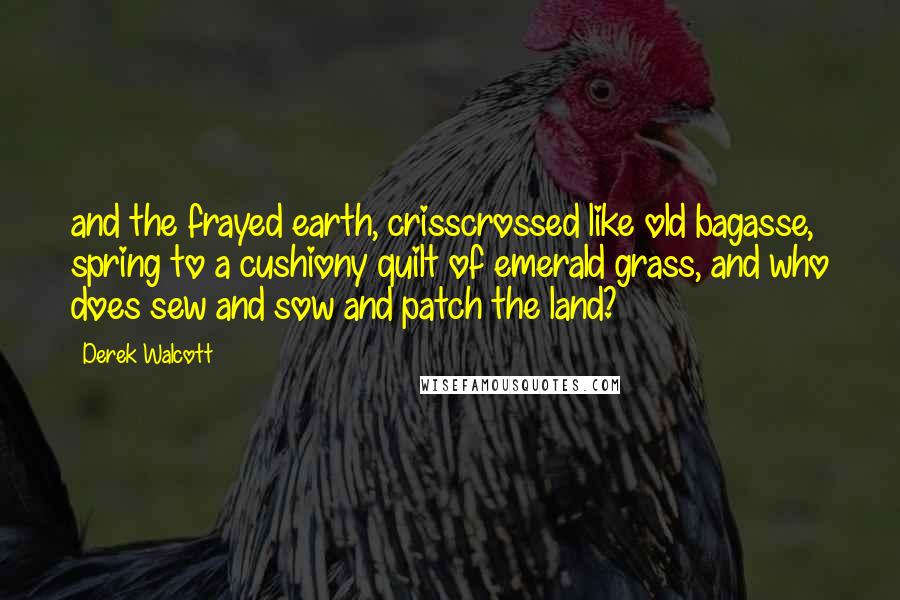 Derek Walcott Quotes: and the frayed earth, crisscrossed like old bagasse, spring to a cushiony quilt of emerald grass, and who does sew and sow and patch the land?