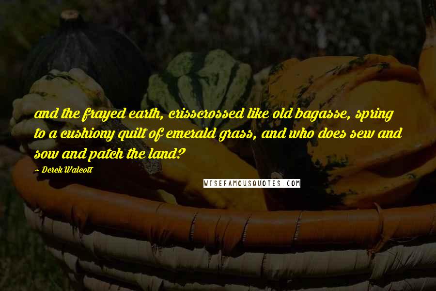 Derek Walcott Quotes: and the frayed earth, crisscrossed like old bagasse, spring to a cushiony quilt of emerald grass, and who does sew and sow and patch the land?