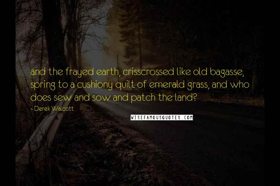 Derek Walcott Quotes: and the frayed earth, crisscrossed like old bagasse, spring to a cushiony quilt of emerald grass, and who does sew and sow and patch the land?