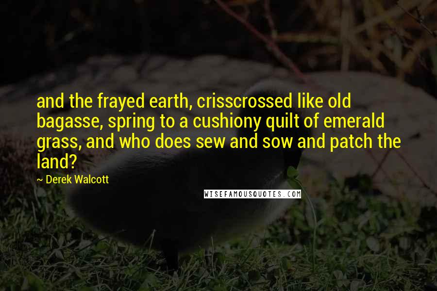 Derek Walcott Quotes: and the frayed earth, crisscrossed like old bagasse, spring to a cushiony quilt of emerald grass, and who does sew and sow and patch the land?