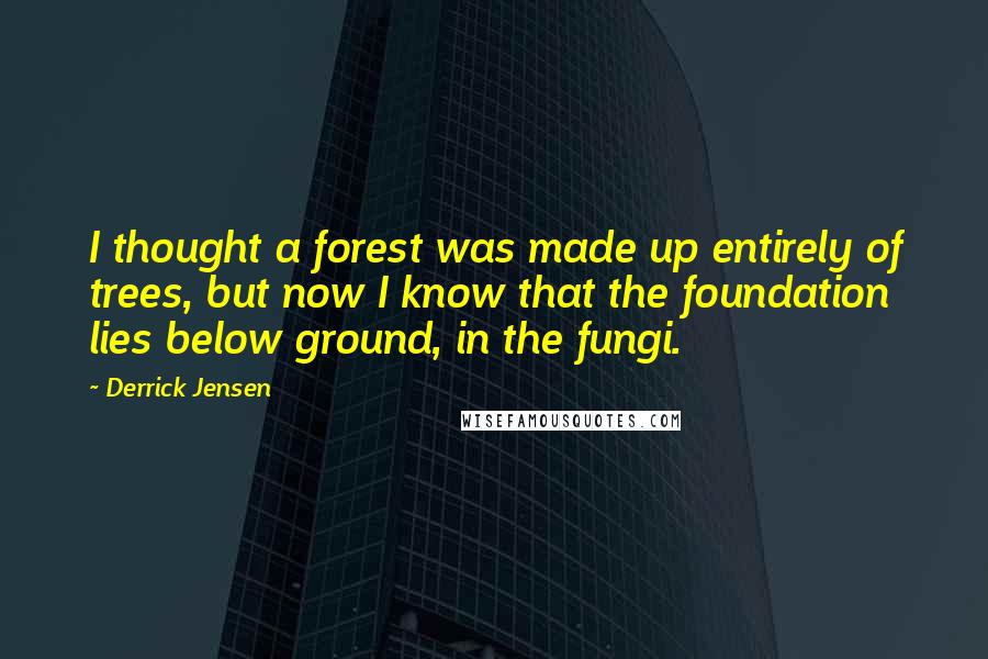 Derrick Jensen Quotes: I thought a forest was made up entirely of trees, but now I know that the foundation lies below ground, in the fungi.