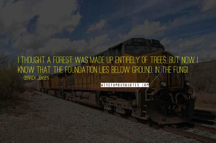 Derrick Jensen Quotes: I thought a forest was made up entirely of trees, but now I know that the foundation lies below ground, in the fungi.