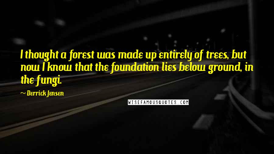 Derrick Jensen Quotes: I thought a forest was made up entirely of trees, but now I know that the foundation lies below ground, in the fungi.