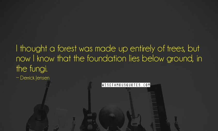 Derrick Jensen Quotes: I thought a forest was made up entirely of trees, but now I know that the foundation lies below ground, in the fungi.
