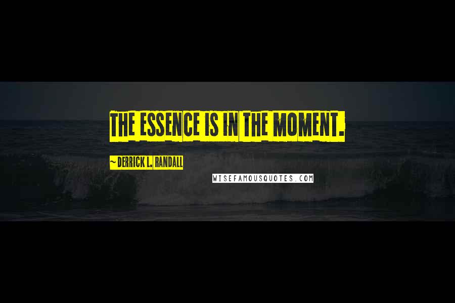 Derrick L. Randall Quotes: The essence is in the moment.