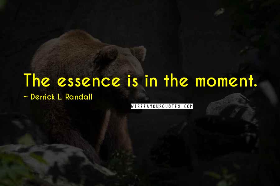 Derrick L. Randall Quotes: The essence is in the moment.