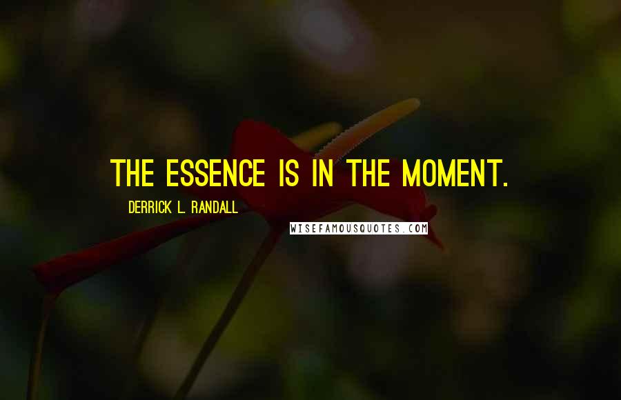 Derrick L. Randall Quotes: The essence is in the moment.