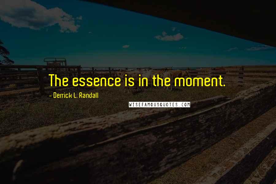 Derrick L. Randall Quotes: The essence is in the moment.