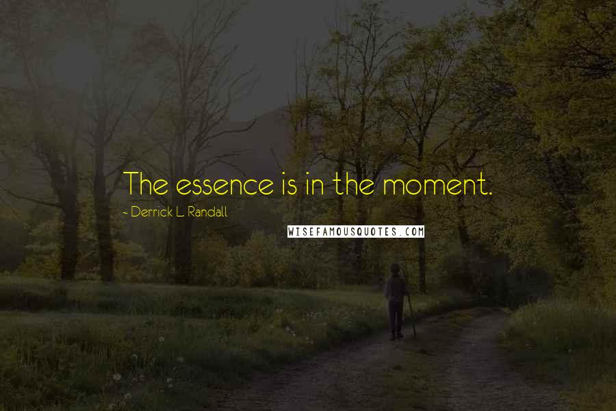 Derrick L. Randall Quotes: The essence is in the moment.