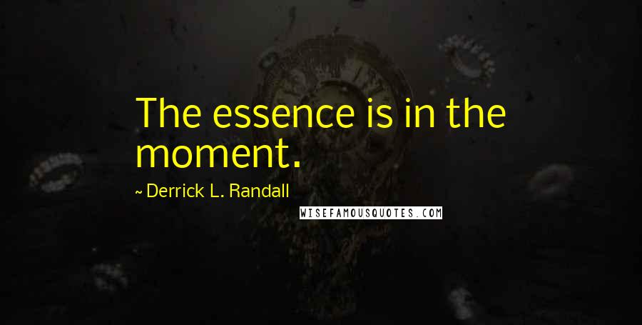 Derrick L. Randall Quotes: The essence is in the moment.