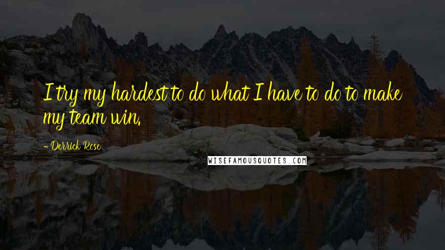 Derrick Rose Quotes: I try my hardest to do what I have to do to make my team win.