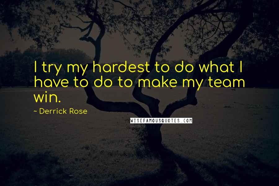 Derrick Rose Quotes: I try my hardest to do what I have to do to make my team win.