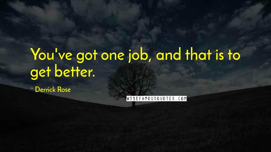 Derrick Rose Quotes: You've got one job, and that is to get better.