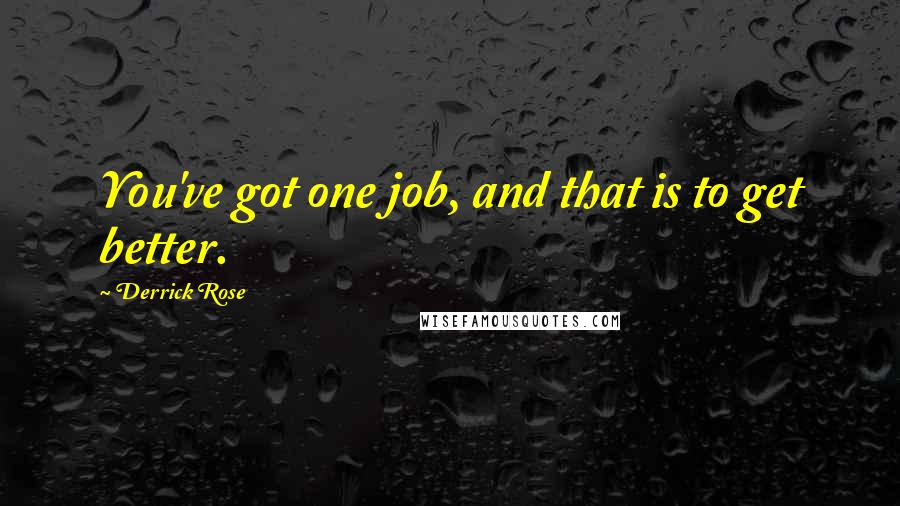 Derrick Rose Quotes: You've got one job, and that is to get better.