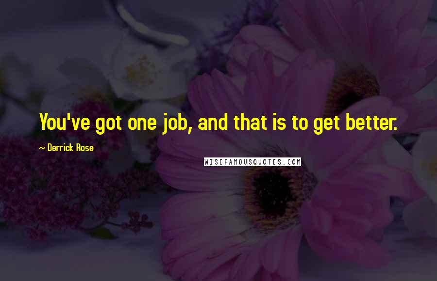 Derrick Rose Quotes: You've got one job, and that is to get better.