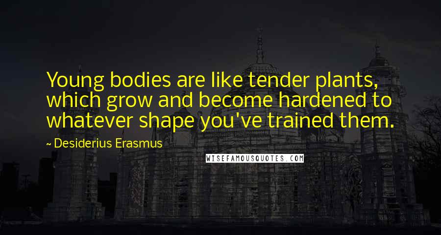 Desiderius Erasmus Quotes: Young bodies are like tender plants, which grow and become hardened to whatever shape you've trained them.